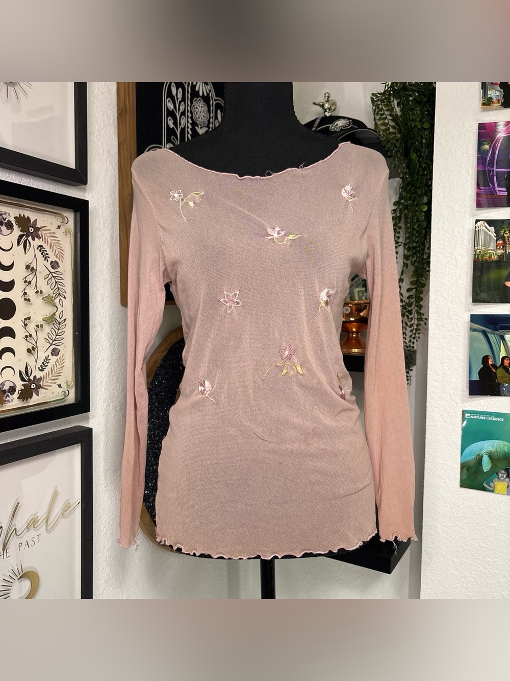 Vintage Mezon Y2K Sheer Pink Embroidered Mesh Fairycore Top Size M